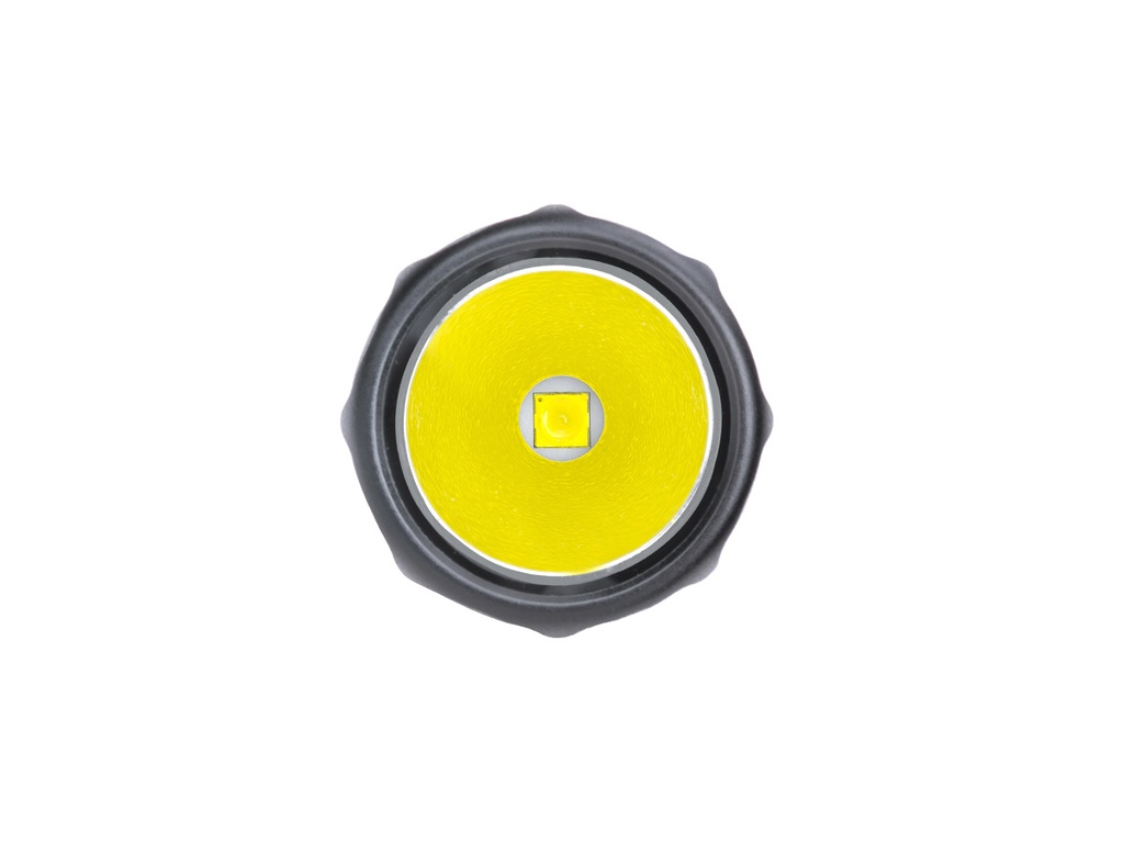 NEXC2 4