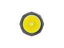 NEXC2 4