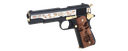 GGTIGER - vue 2