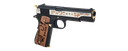 GGTIGER - vue 3