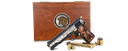 GGTIGER - vue 5