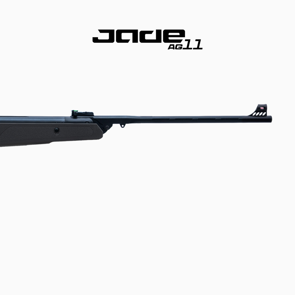AG11_3.png