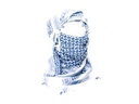 67639BLEU 2