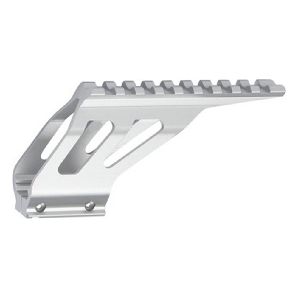 [A17297] ASG Rail de montage pour STI Duty / M1911 / Autres