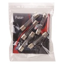 ASG Fusible 25 ampéres (x5)