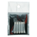 ASG Fusible 20 ampères (x5)